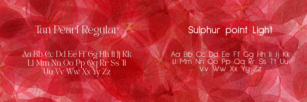 Choix de 2 typographies choises pour RosiRosa