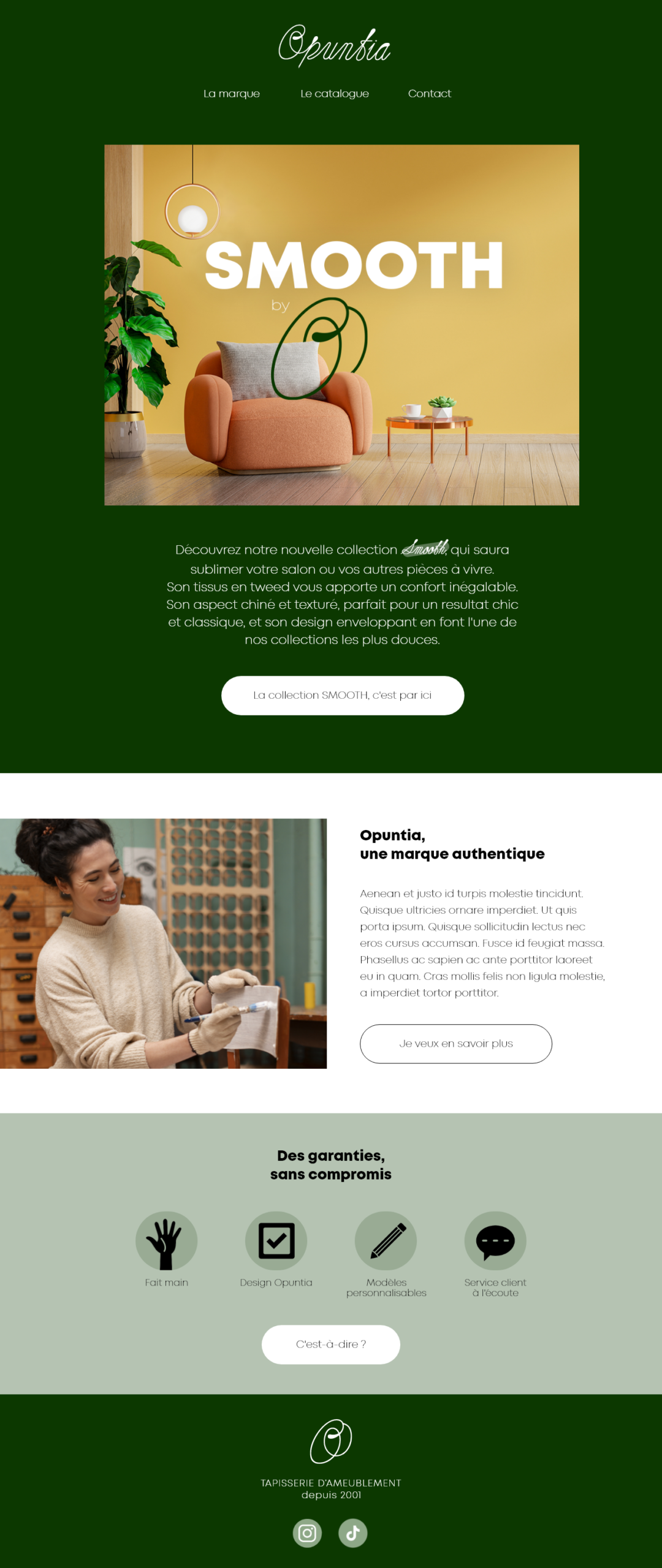 Maquette de newsletter de Smooth, collection d'opuntia tapisserie d'ameublement