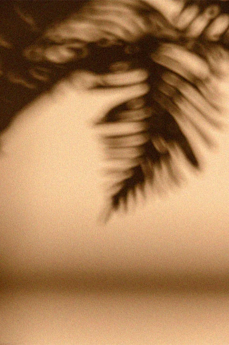 logo site web proche ploermel