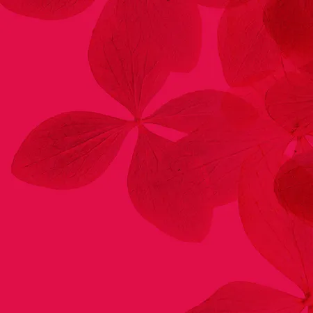 strategie-visuelle-graphisme